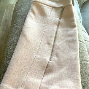 Pale Pink Skirt